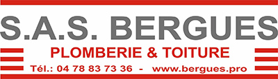 logoipsum